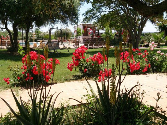 Photos for house 508143