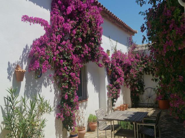 Photos for house 508143