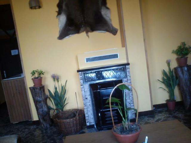 Photos for house 508161