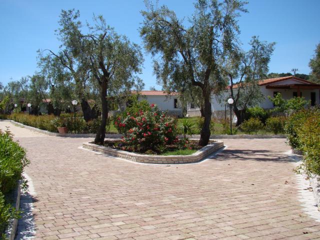 Photos for house 508195