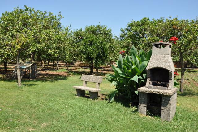 Photos for house 508275