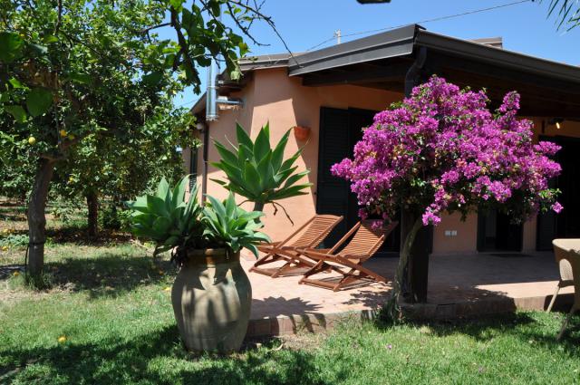 Photos for house 508275