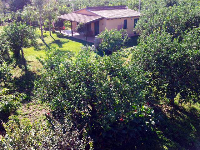 Photos for house 508275