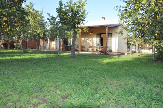 Photos for house 508276