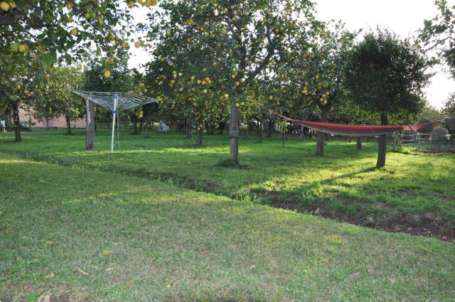 Photos for house 508276