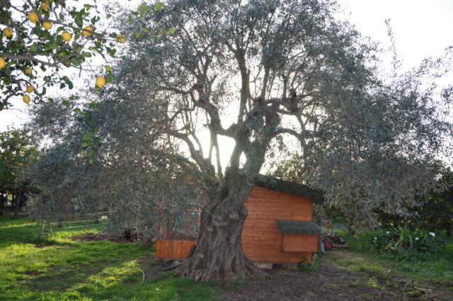 Photos for house 508276