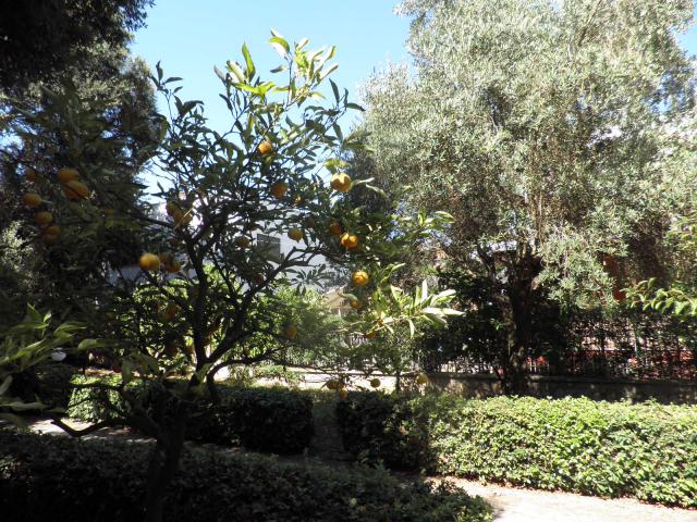 Photos for house 508289