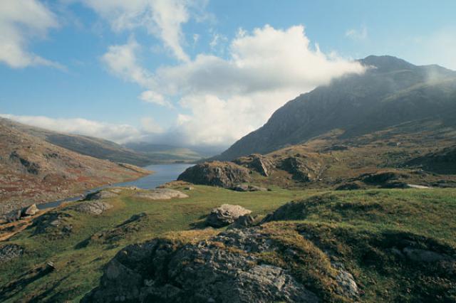 Photos for house 508339