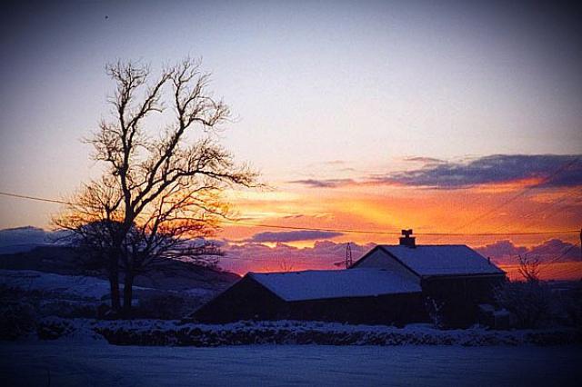 Photos for house 508339