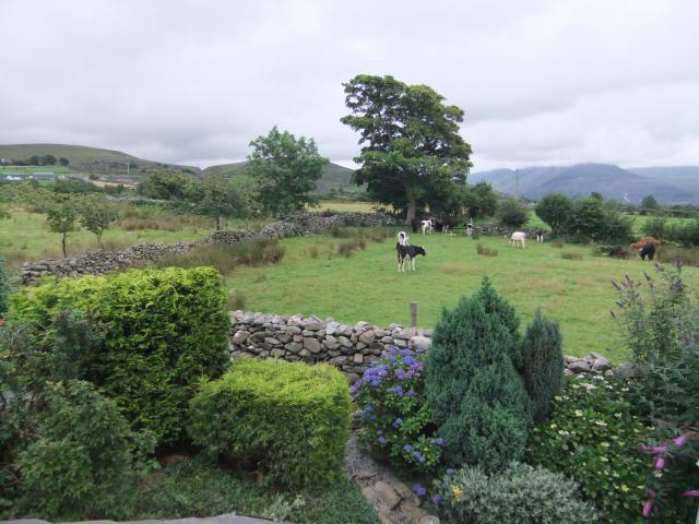 Photos for house 508339