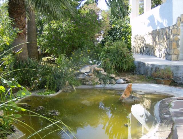 Photos for house 508349