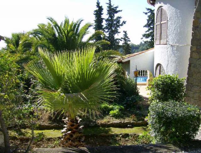 Photos for house 508363