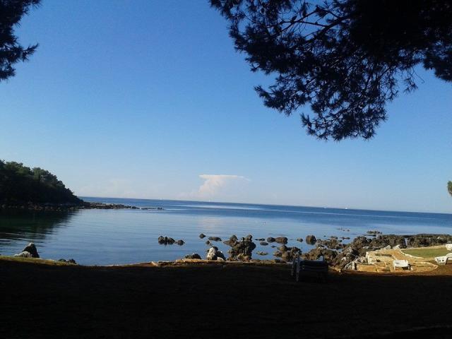 Photos for house 508396