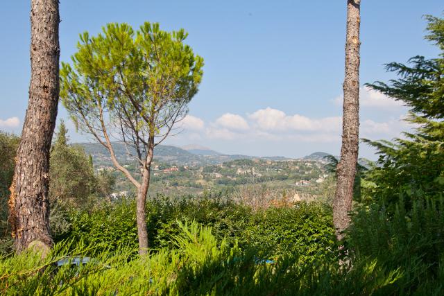 Photos for house 508443