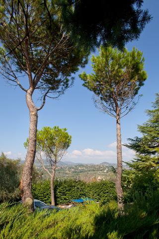 Photos for house 508443