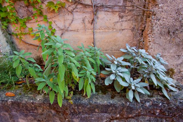 Photos for house 508443