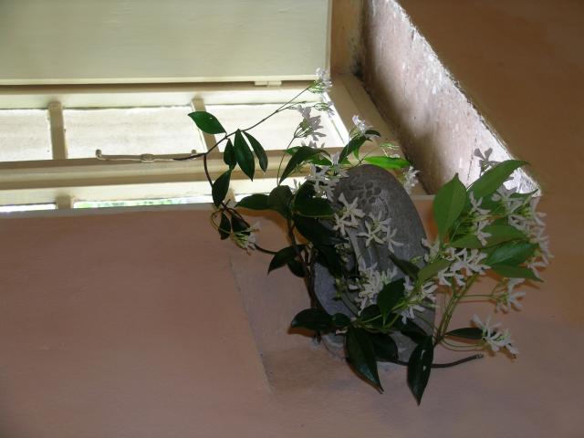 Photos for house 508537