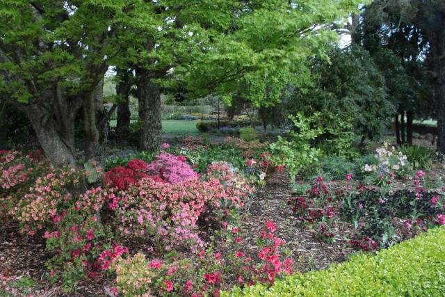 Photos for house 508593