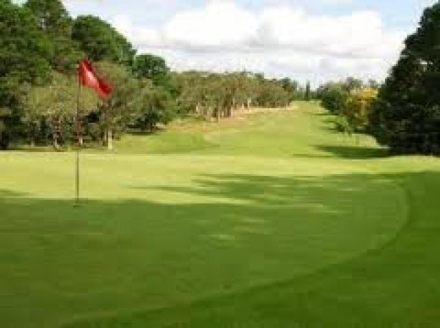 Photos for house 508593