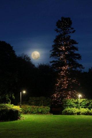 Photos for house 508593