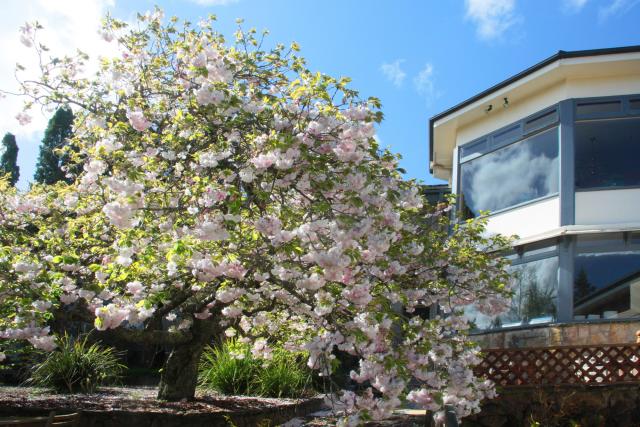 Photos for house 508593