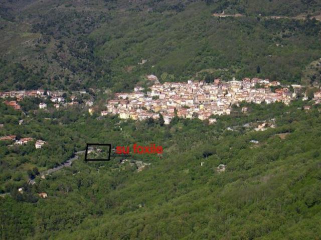 Photos for house 508615