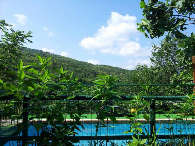 Photos for house 508615