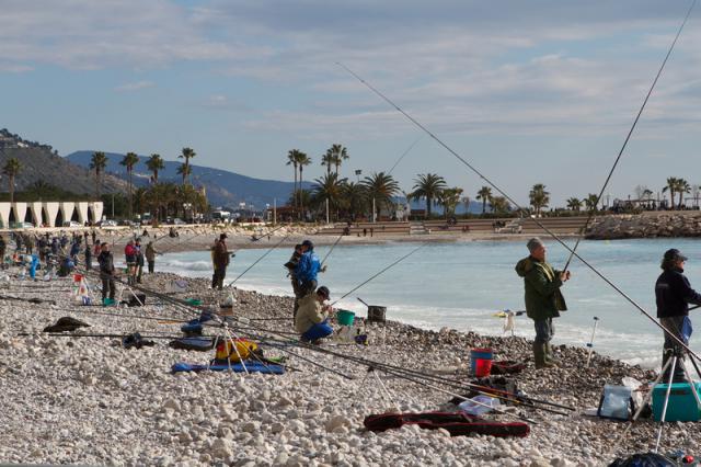 Photos for house 508618