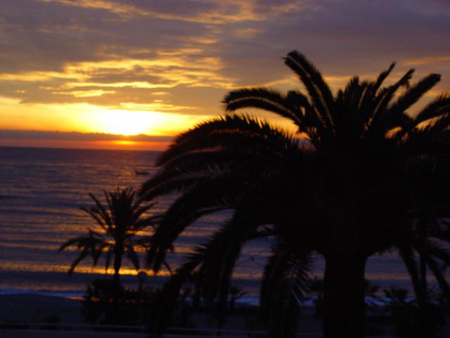 Photos for house 508618