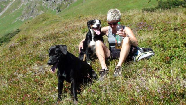 Photos for house 508639