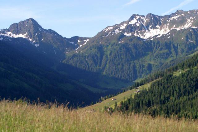 Photos for house 508639