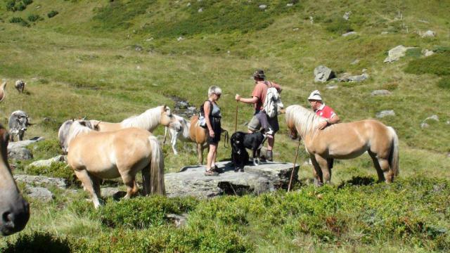 Photos for house 508639