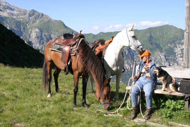 Photos for house 508639