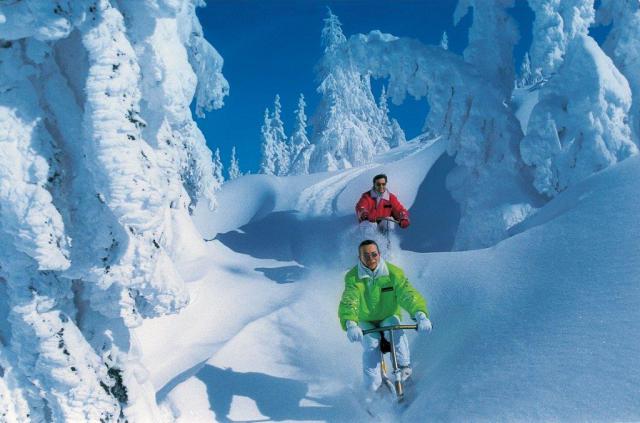 Photos for house 508639