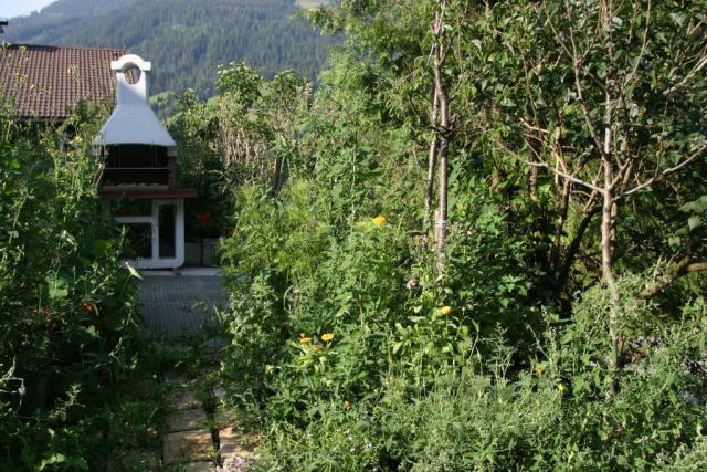 Photos for house 508639