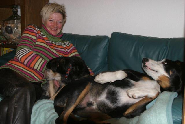 Photos for house 508639