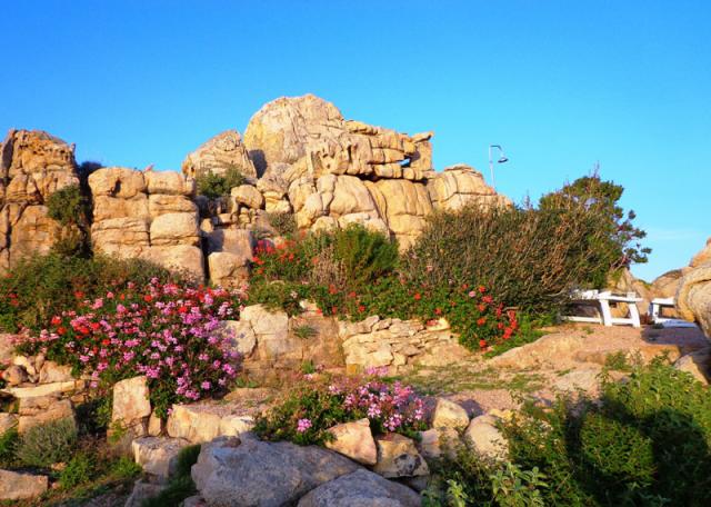 Photos for house 508706