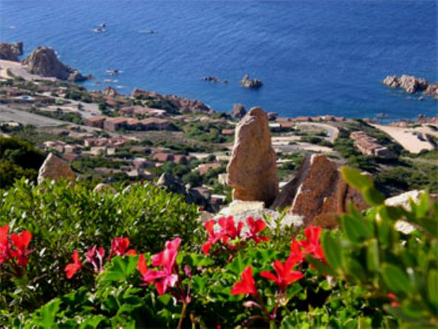 Photos for house 508707