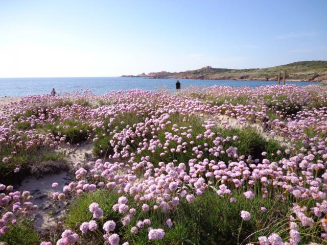 Photos for house 508707