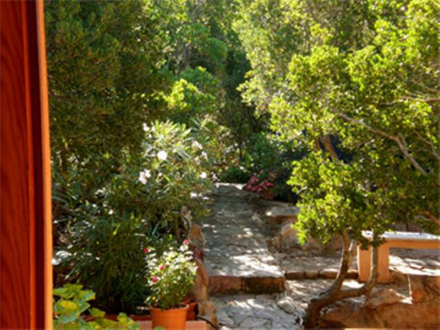 Photos for house 508707