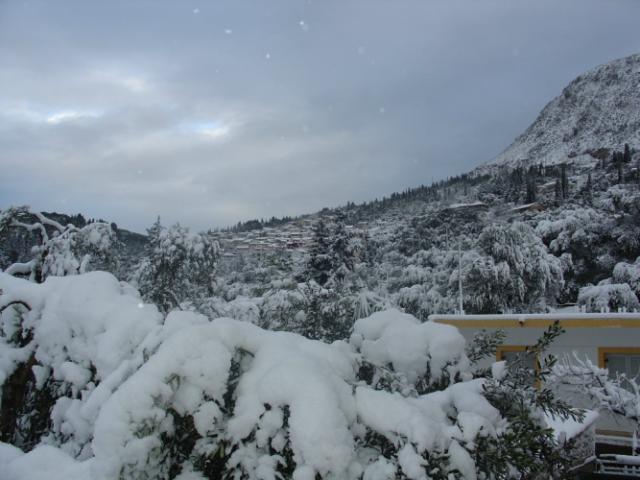 Photos for house 508719