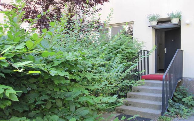 Photos for house 508727