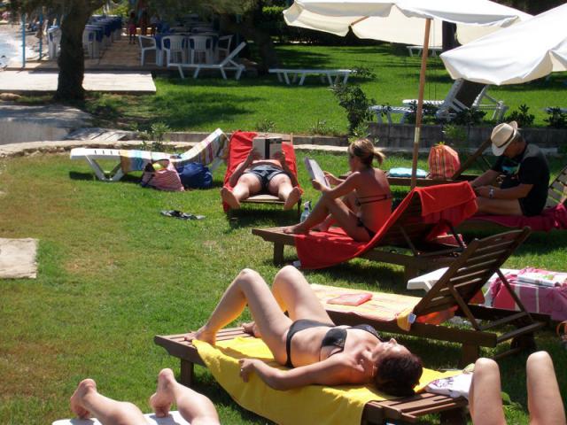 Photos for house 508747