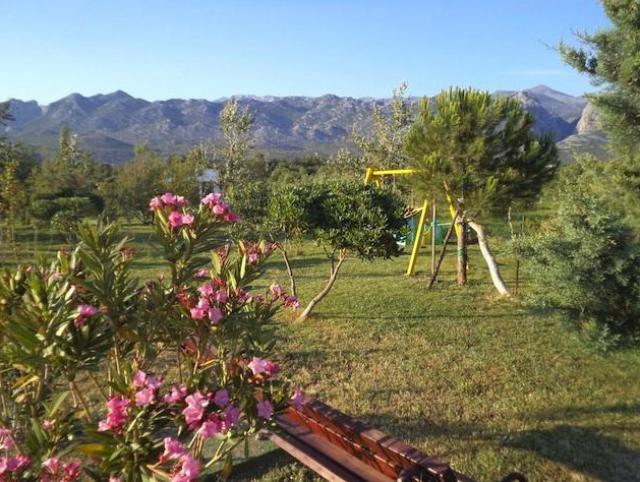 Photos for house 508762