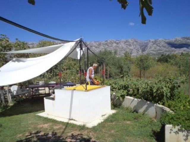 Photos for house 508762