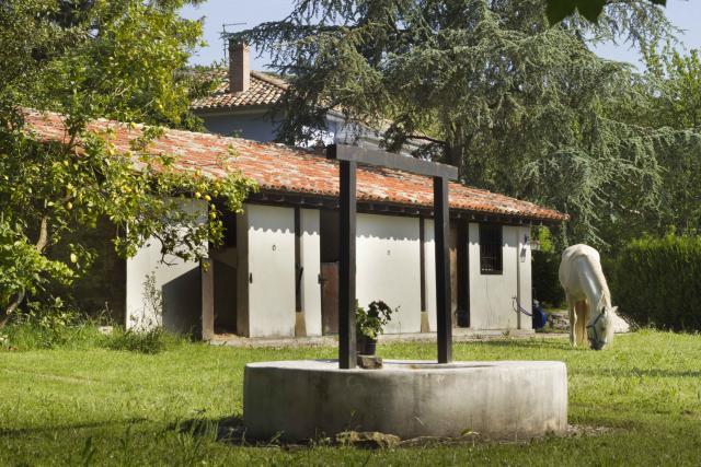 Photos for house 508771