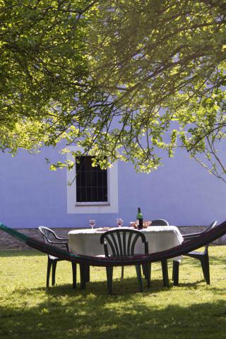 Photos for house 508771