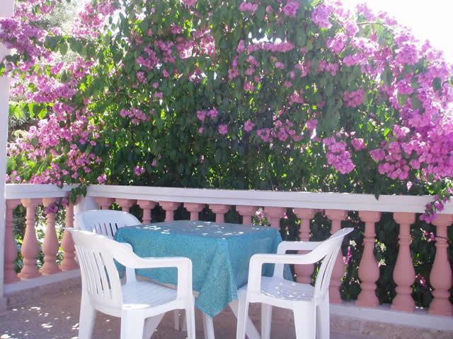 Photos for house 508929