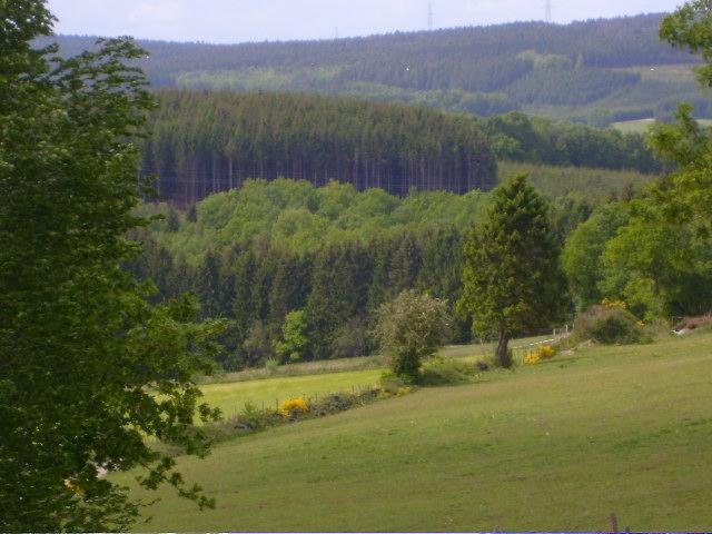 Photos for house 508973