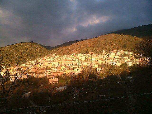 Photos for house 509013